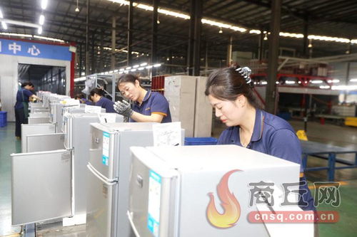 科技賦能，技術開發驅動冷產業轉型升級新篇章